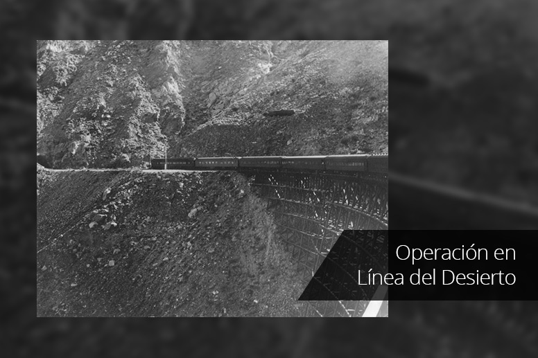 4-Operacion-en-Linea-del-Desierto